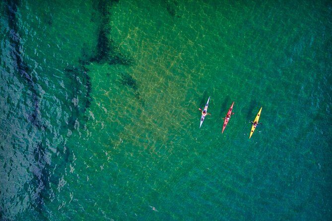 Monday - Sick Day Midweek Kayak Tour on Tomales Bay