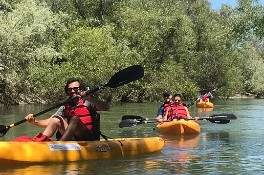 Guided Kayak Tour on Russian River