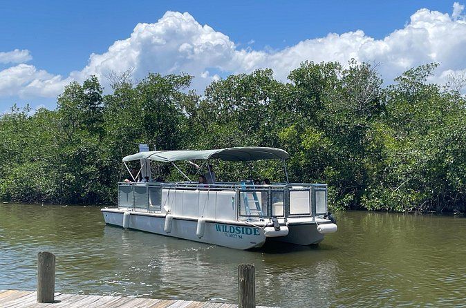 Dolphin Eco Cruise Nature Adventure in Cocoa Beach