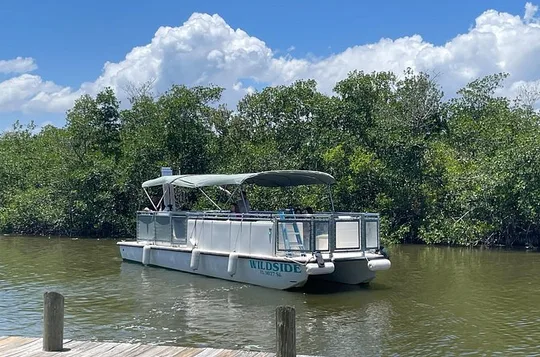 Dolphin Eco Cruise Nature Adventure in Cocoa Beach