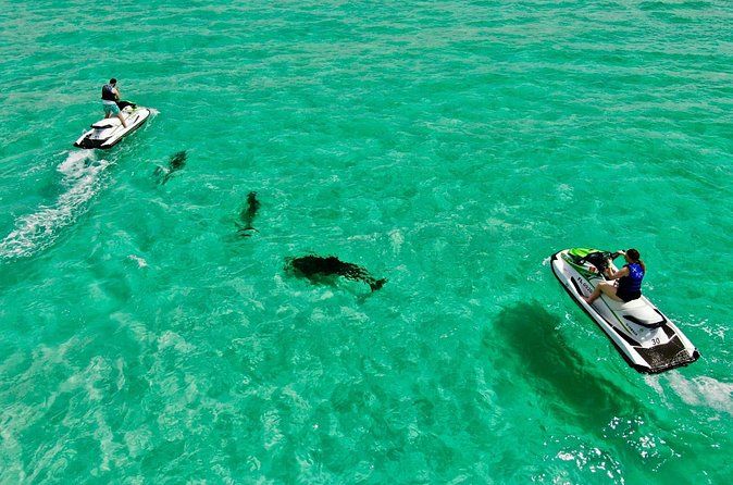 Jet Ski Dolphin Tour Adjacent to Crab Island