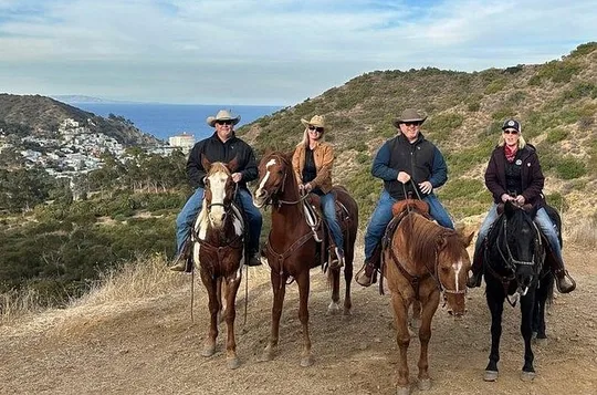 Horse Trail and Canyon Group Ride on Catalina Island