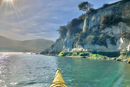 Monday Sick Day Midweek Kayak Tour on Tomales Bay
