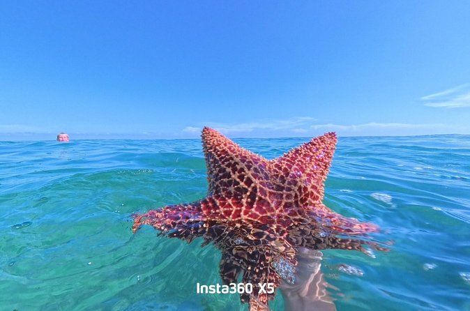 Summertime Morning Swim in the Florida Keys Catamaran