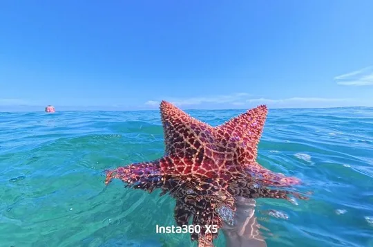 Summertime Morning Swim in the Florida Keys Catamaran