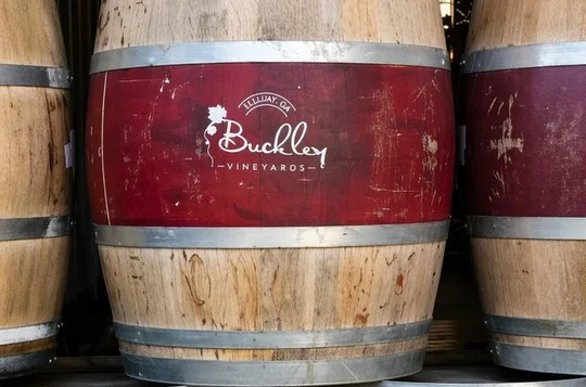 Private Vineyard Tour in Ellijay, Georgia