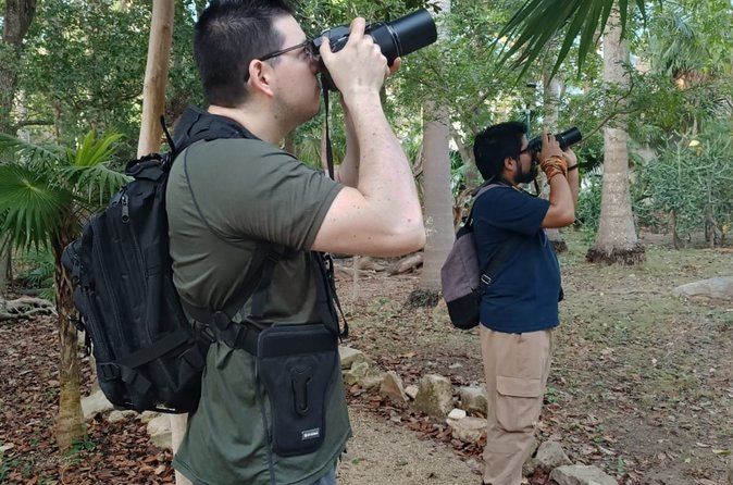Birdwatching Adventure in Playa del Carmen with Local Guide