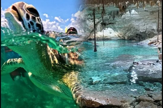 Turtle snorkeling and visit of an underground cenote with food