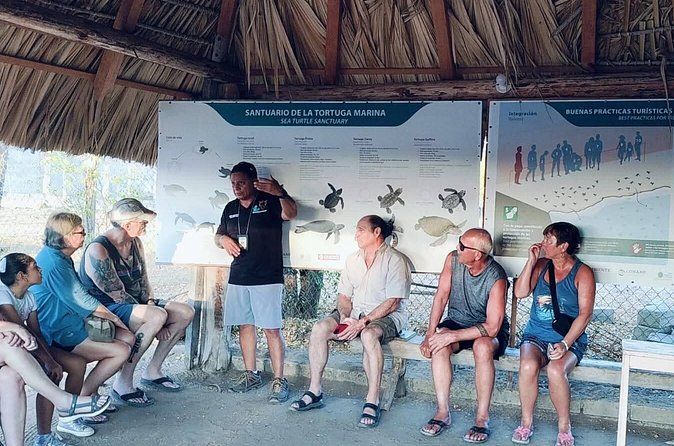 Experience Sunset and Release of Turtles in Huatulco