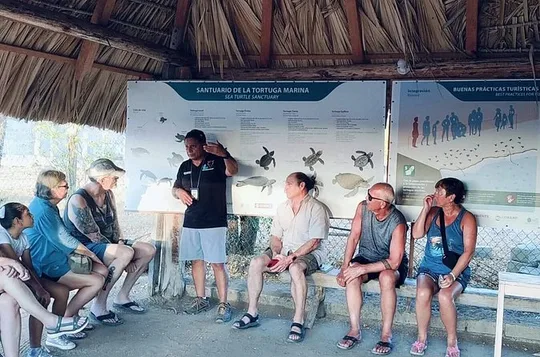Experience Sunset and Release of Turtles in Huatulco