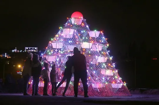 Holiday Lights Bus Tour from St John's to Port de Grave