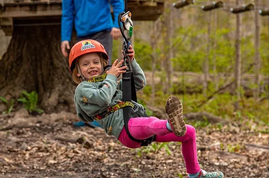 Discovery Kids Courses Treetop Trekking Stouffville