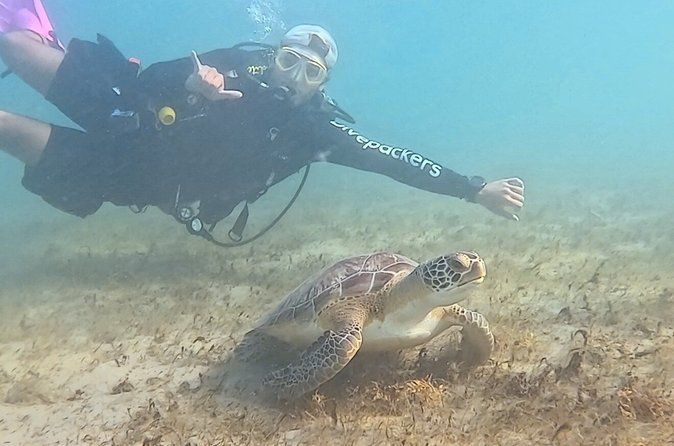 Scuba Diving No Experience Needed Videos Included