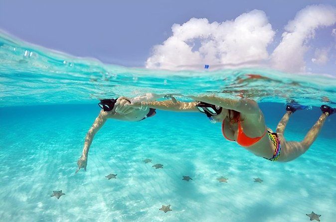 Cozumel El Cielo Snorkeling Reef and Marine Experience