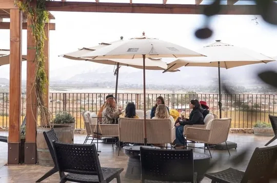 Bodegas imperdibles en el Valle de Guadalupe: Tour privado