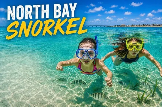 North Bay Snorkeling Adventure on South Padre Island
