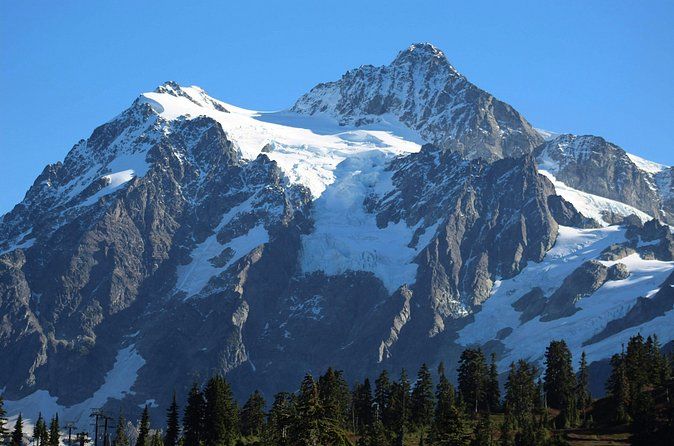 Private Full Day Mount Baker and North Cascades Tour