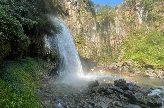 Hiking to Secret Waterfalls of the Coatepec Fog Forest