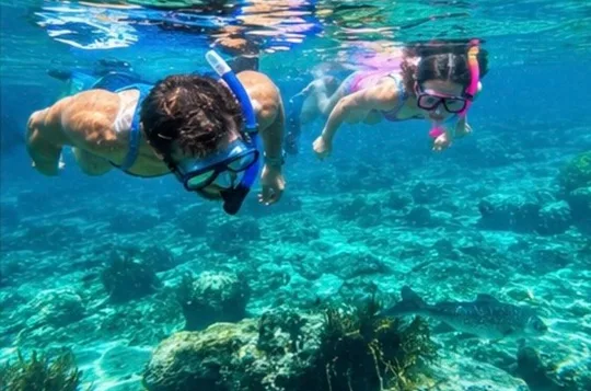 Rainbow Springs Paddle Craft Rentals