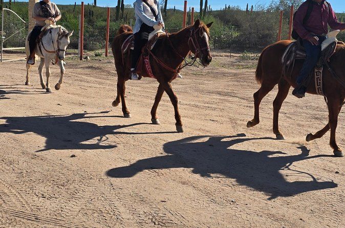 La Paz Private Domesticated Animals Adventure