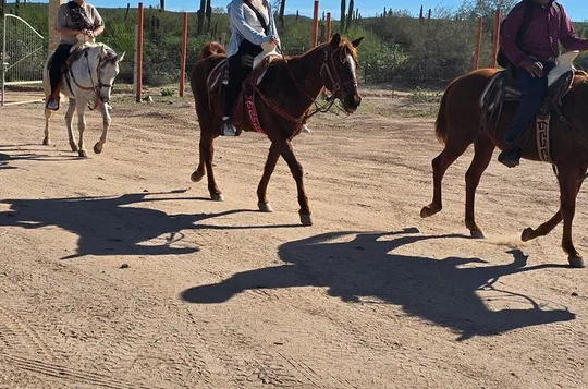La Paz Private Domesticated Animals Adventure