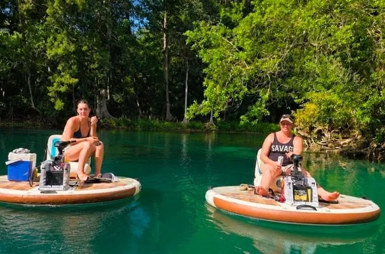 Self Guided GoBoat Rental in Silver Springs