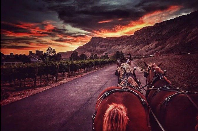 Horse Drawn Sunset Tour in Colorado