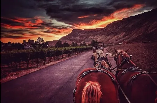 Horse Drawn Sunset Tour in Colorado