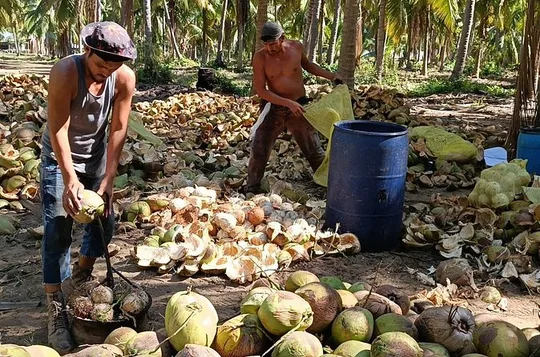 Combined Tour to Ixtapa Zihuatanejo, Countyside and Barra Potosi