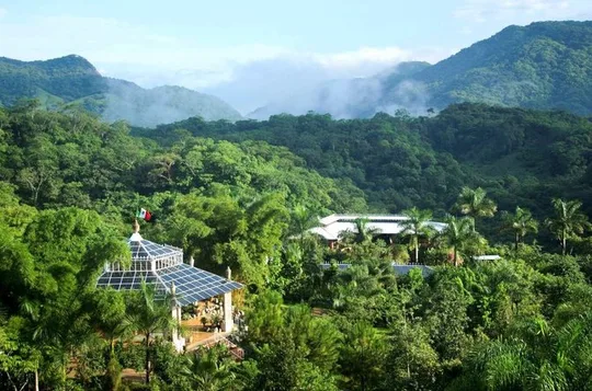 Official Vallarta Botanical Garden Tour with a Biologist