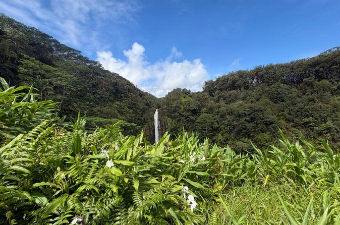 The Pele Express HONU & HILO: Turtles & Waterfalls Tour
