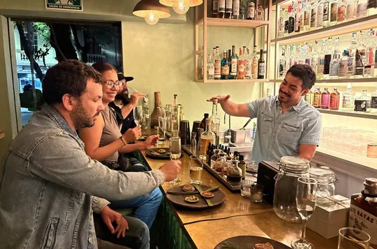 Mezcal Experience Mexico City: 3 Bars, 6 Spirits & Cocktail demo