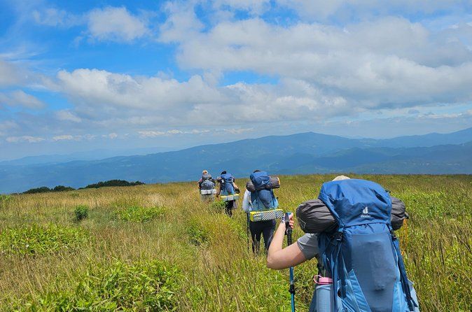 Beginner Hike and Workshop in Asheville