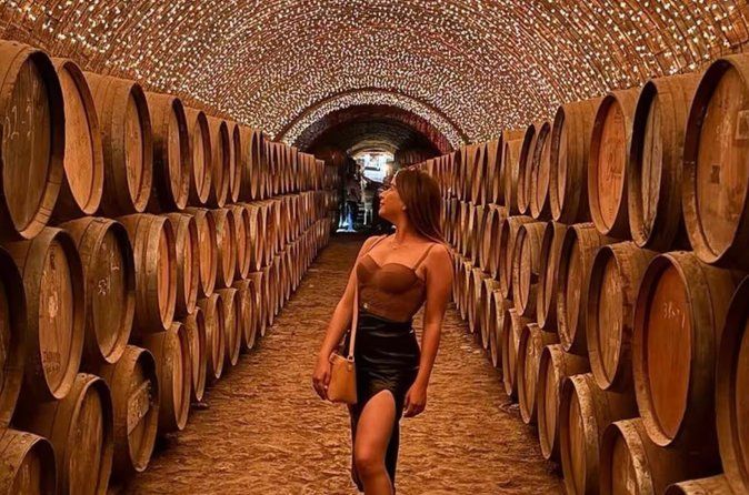 Full Day Tour to Tequila and Amatitán with Fun and Culture