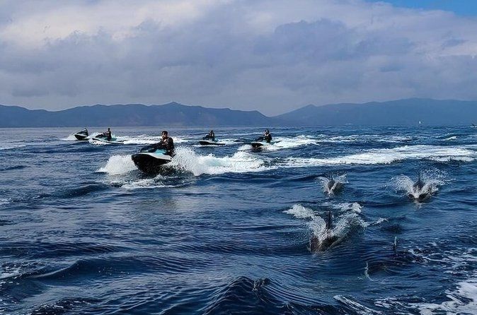 Guided Dolphin Jet Ski Adventure | Long Beach to Catalina Island
