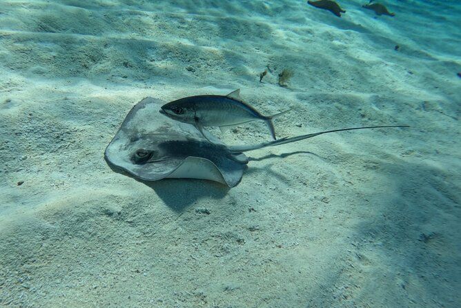 Snorkeling adventure in El Cielo, El Cielito, Palancar and Colombia.