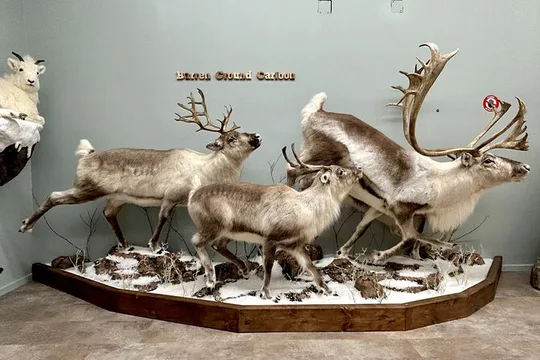 Self Guided Tour in Wildlife Gallery