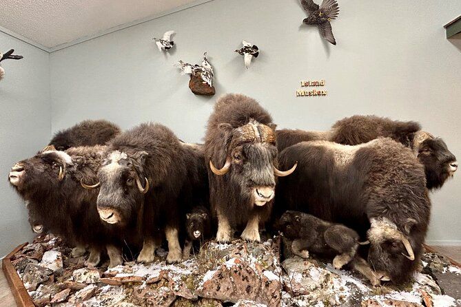 Tablet Tour in Wildlife Gallery