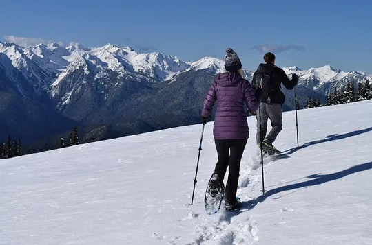 Hurricane Ridge Guided Snowshoe Tour in Olympic National Park