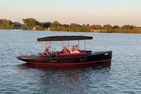 Dolphin Boat Tour in Vero Beach