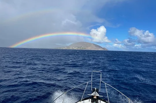 Private Whale Watching and Dolphin Excursion