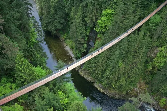Capilano Suspension Bridge and Grouse Mountain Signature Tour