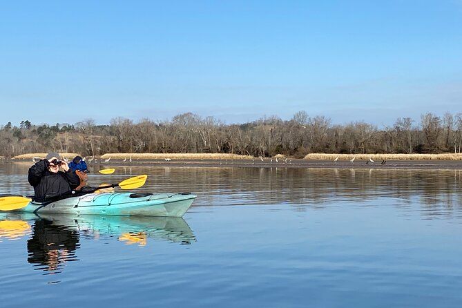 Sandhill Crane Kayak Tour with Chattanooga Guided Adventures