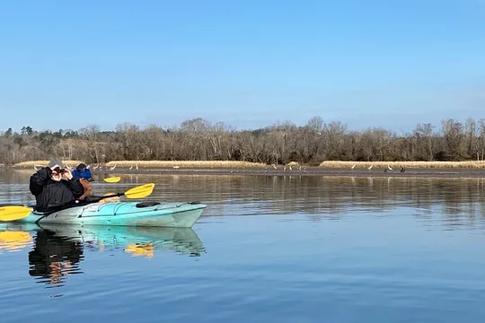 Sandhill Crane Kayak Tour with Chattanooga Guided Adventures