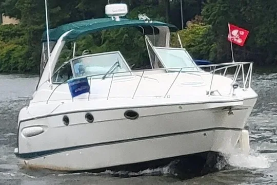 Sightseeing on your Own Private Boat with Guide