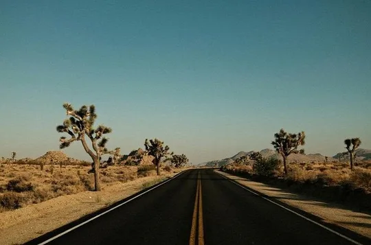 Las Vegas To Los Angeles One Way Tour Joshua Tree National Park