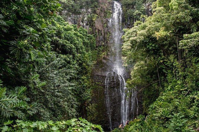 Private Hana Waterfalls Tour