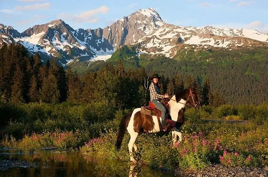 2-Hour Horseback Trail Ride in Seward