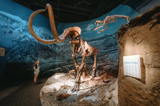 Drumheller with Royal Tyrrell Museum, Dinosaurs & Hoodoos