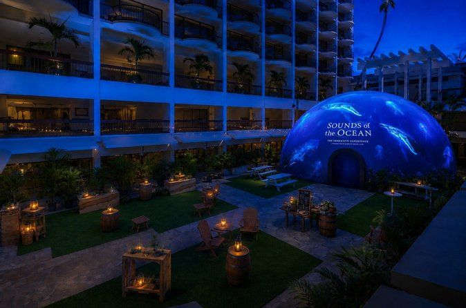 Sounds of the Ocean The Immersive Experience Waikiki
